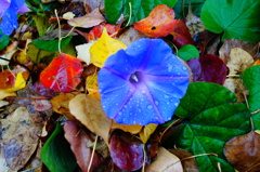 DSC00970