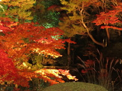 京　南禅寺IMG_3654