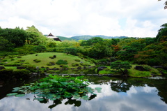 奈良　衣水園DSC02045