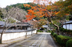 DSC02543