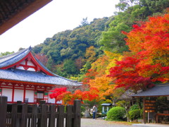 観心寺　紅葉IMG_3506
