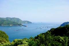 南紀DSC08509