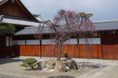 DSC01320