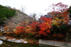 DSC06608