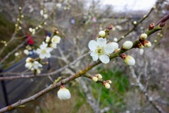 DSC02480