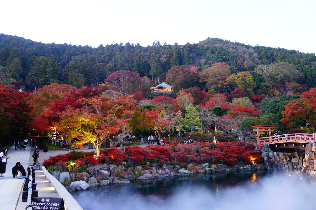 勝尾寺DSC00786