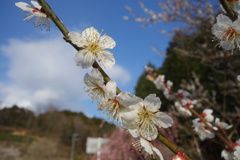 DSC02576