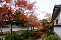 DSC02517
