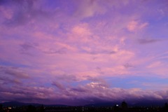 紫雲　DSC06196