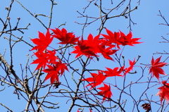 DSC02398