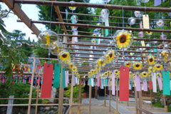 正寿院DSC09830