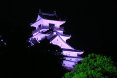高知城IMG_4637