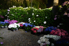 DSC09036