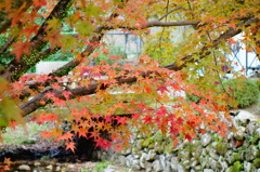 DSC02695