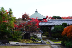 松尾寺DSC06320