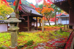 天野山金剛寺紅葉　令和元年IMG_0054