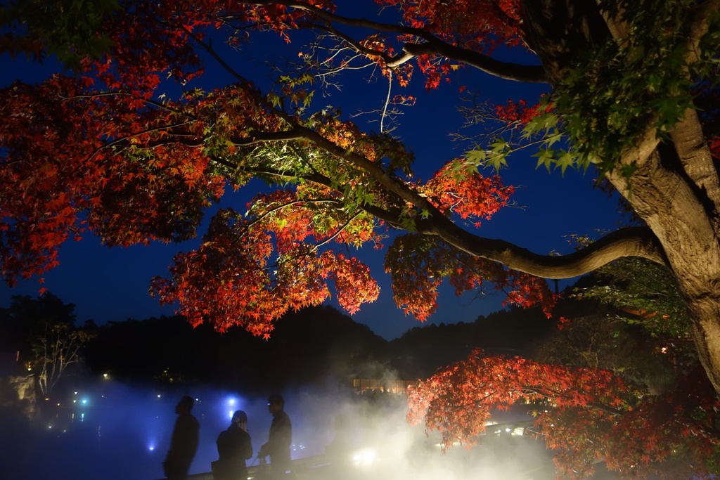 勝尾寺DSC00825