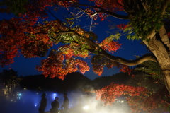 勝尾寺DSC00825