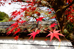DSC02419