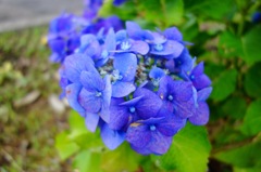 DSC04881