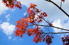 奈良　衣水園DSC02067