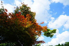 奈良　衣水園DSC02060