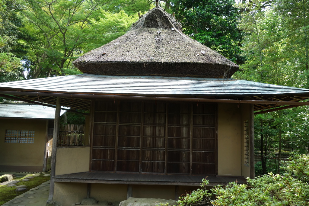奈良　衣水園DSC02036