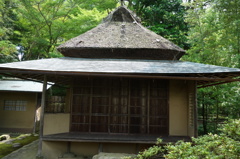 奈良　衣水園DSC02036