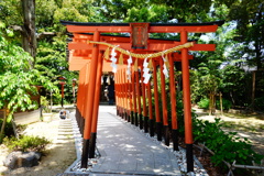 DSC08037