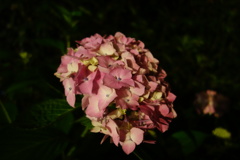 DSC09053
