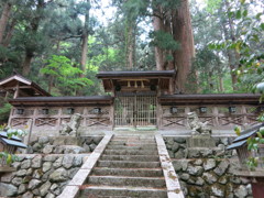 神社MG_0436