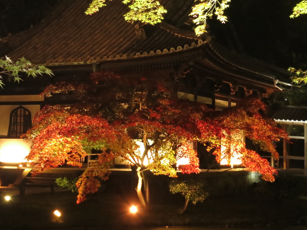 高台寺紅葉IMG_3335