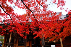 松尾寺DSC06401