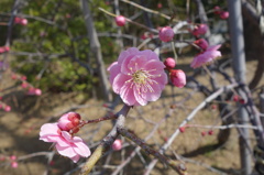 DSC01297