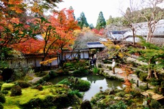 湖東三山　西明寺DSC01391