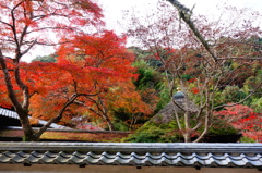 天野山金剛寺DSC02601