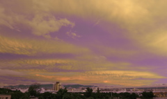 紫雲　MG_2334