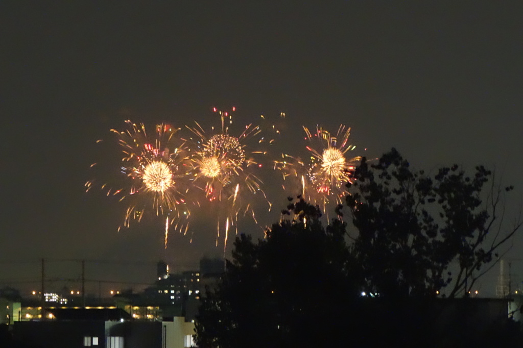 PL花火DSC02191