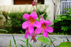 DSC08549