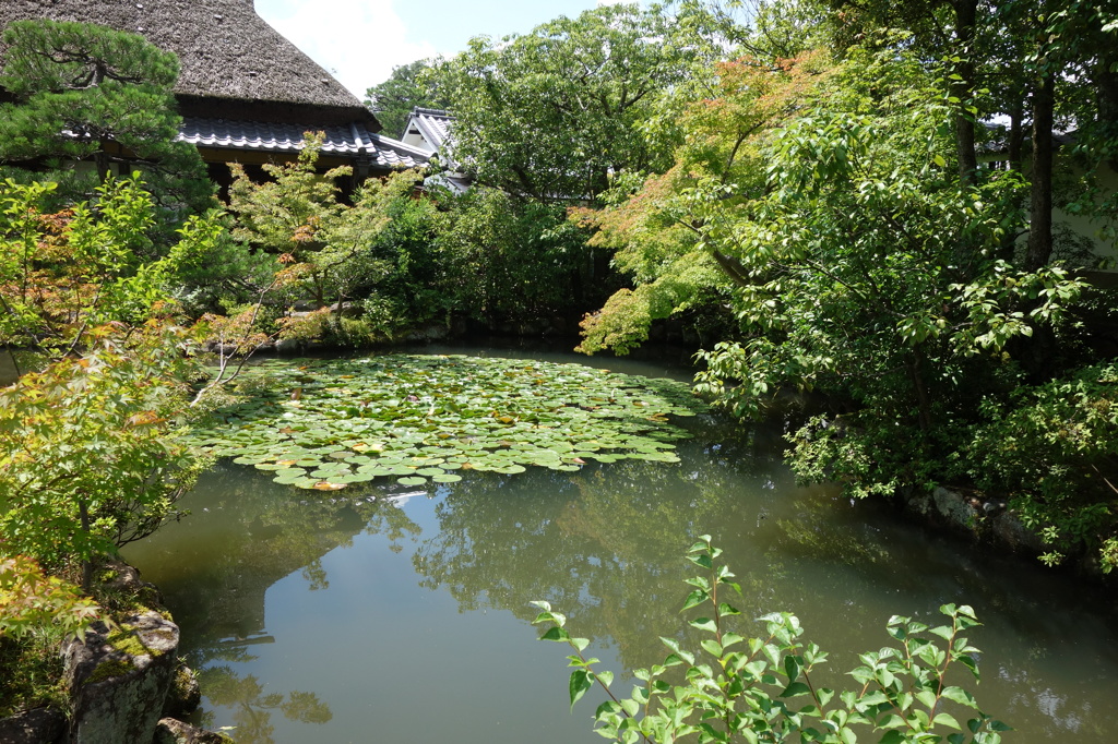奈良　衣水園DSC01988