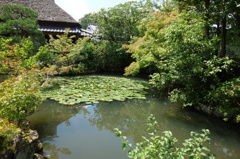 奈良　衣水園DSC01988