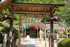 正寿院DSC09802