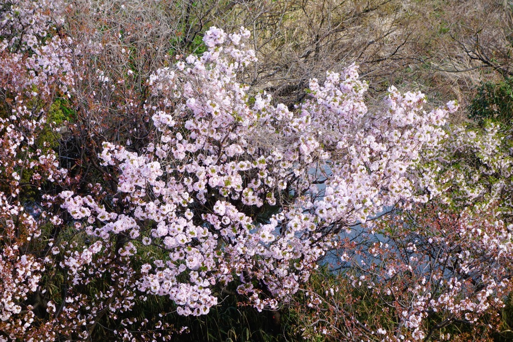 DSC04093