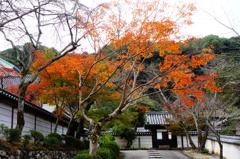 天野山金剛寺DSC02724