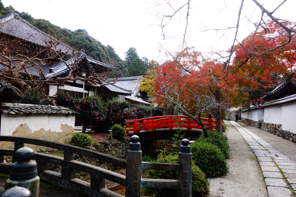 天野山金剛寺DSC02701