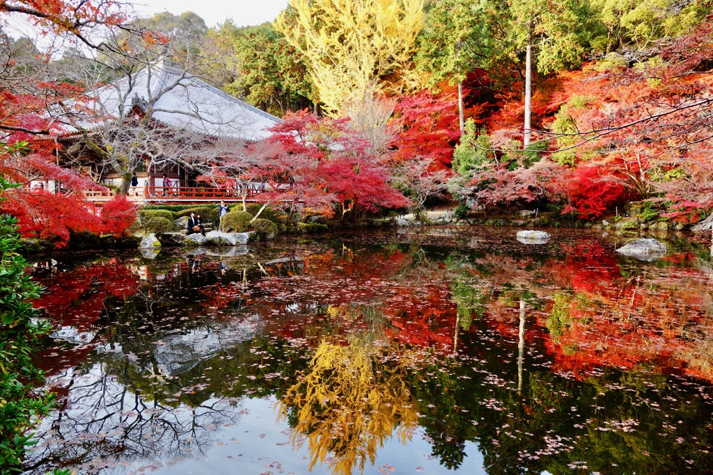 醍醐寺DSC01744