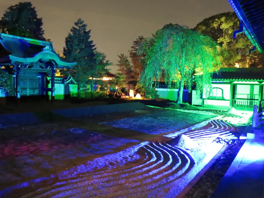高台寺ライトアップIMG_3295