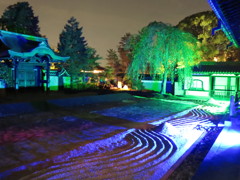 高台寺ライトアップIMG_3295