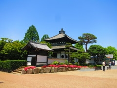 京　東福寺IMG_9098