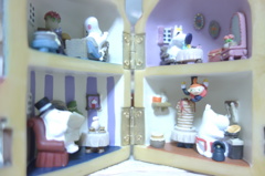 DSC01667